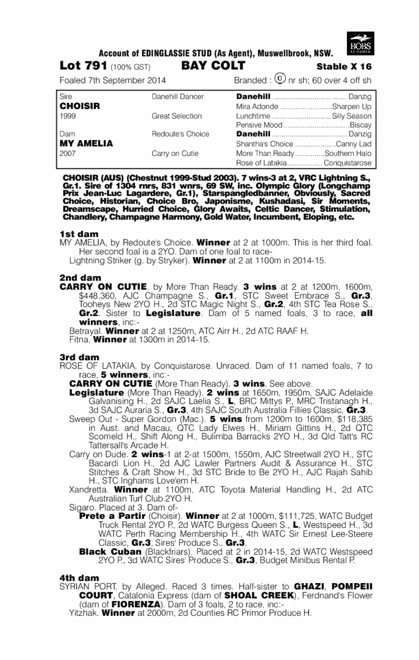 Choisir (AUS) / My Amelia (AUS) - pedigree