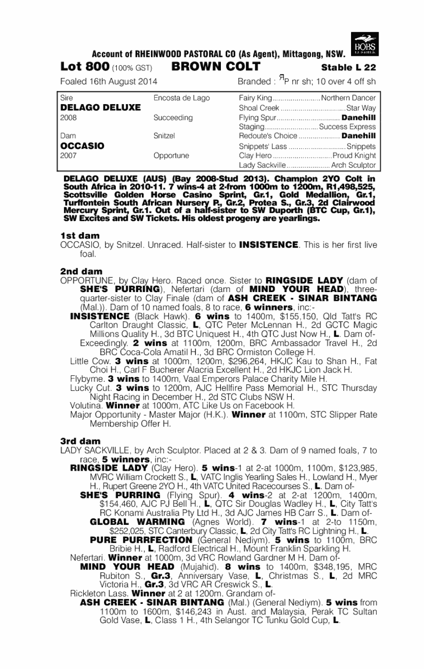 Delago Deluxe (AUS) / Occasio (AUS) - pedigree