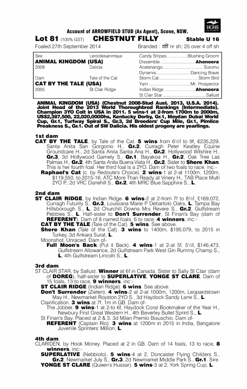 Animal Kingdom (USA) / Cat by the Tale (USA) - pedigree