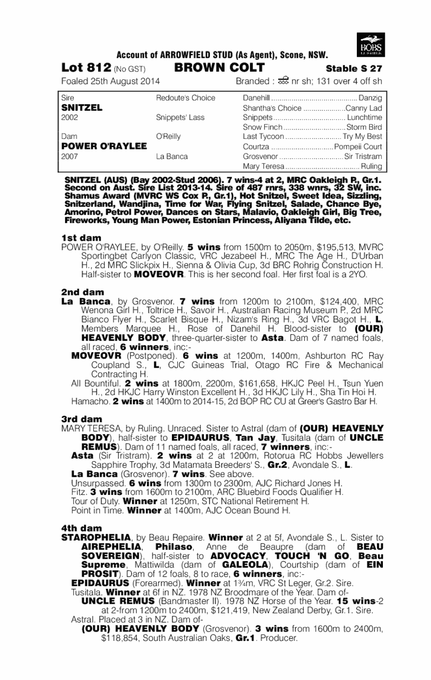 Snitzel (AUS) / Power O'Raylee (AUS) - pedigree