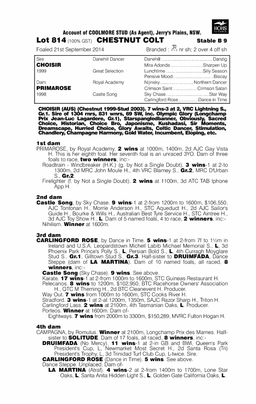 Choisir (AUS) / Primarose (AUS) - pedigree