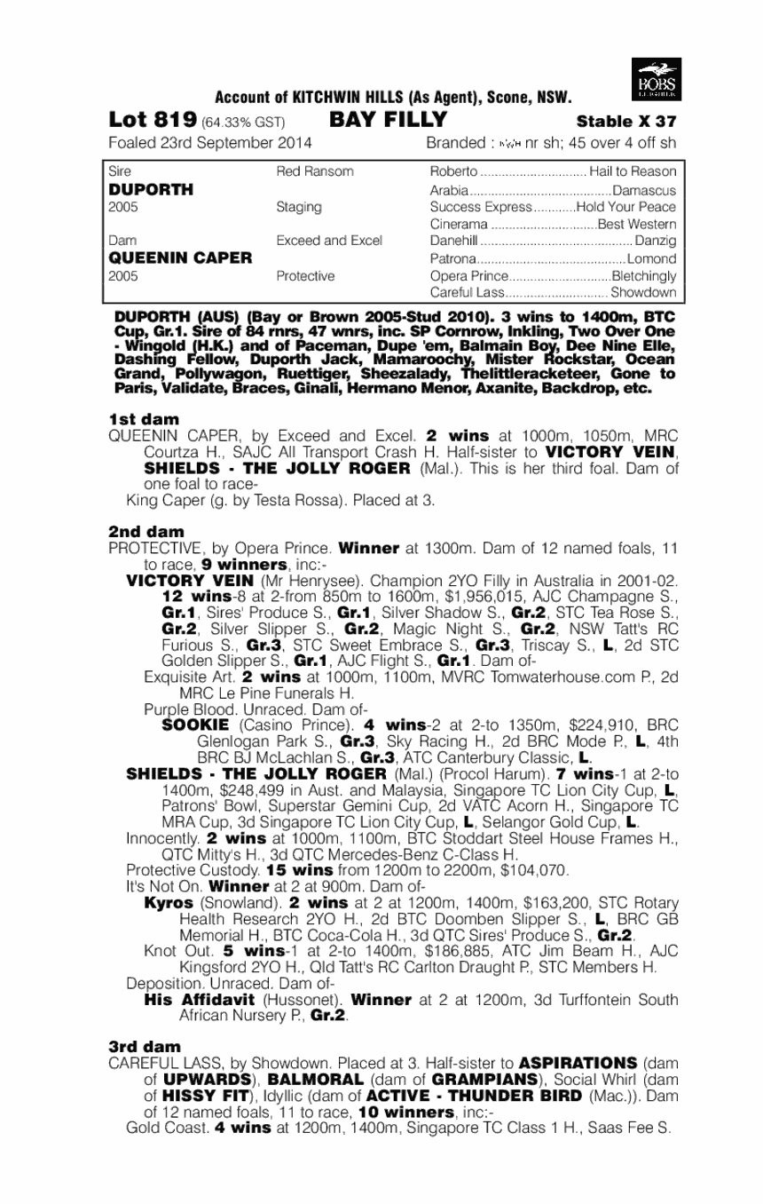 Duporth (AUS) / Queenin Caper (AUS) - pedigree