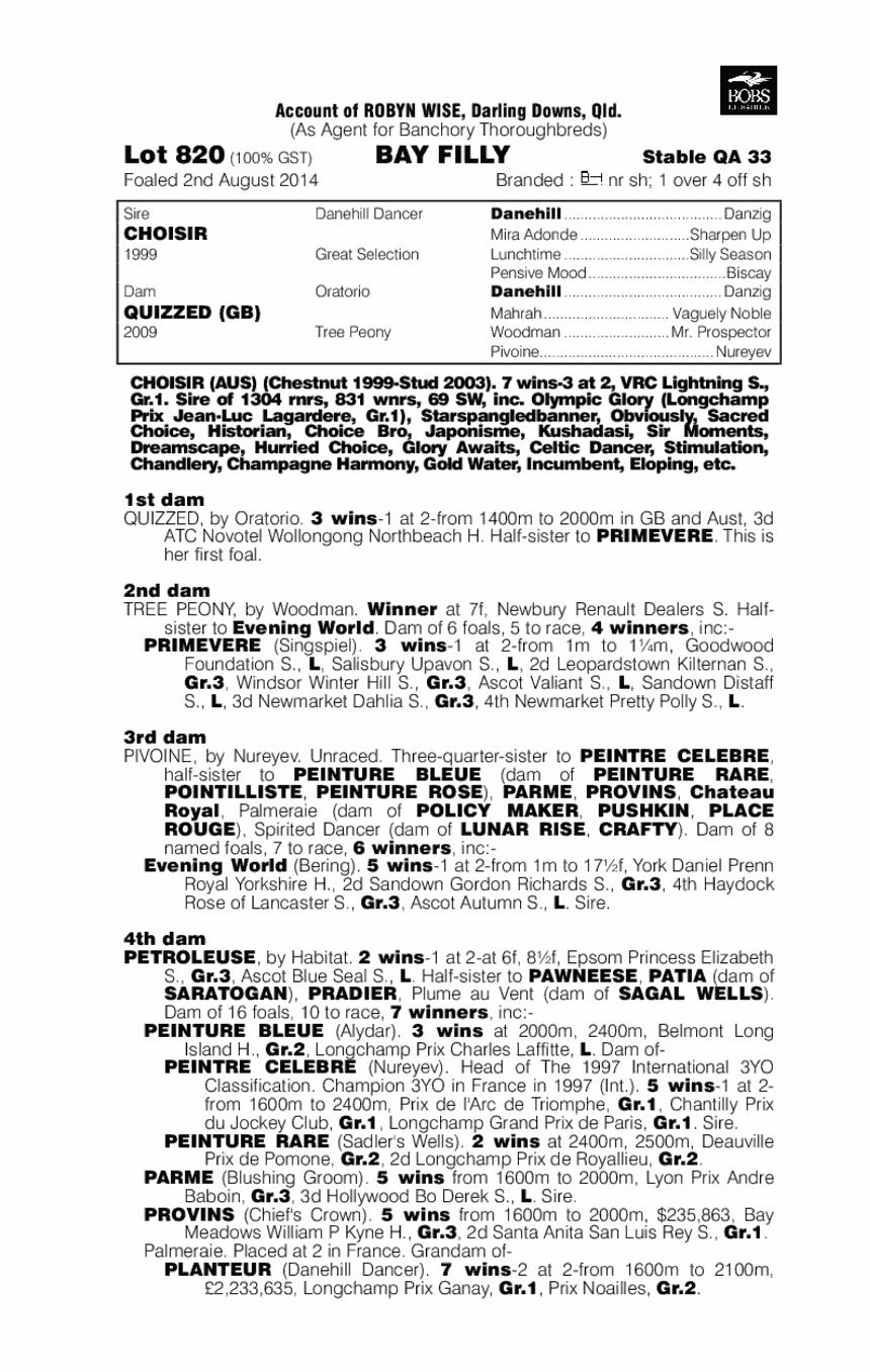 Choisir (AUS) / Quizzed (GB) - pedigree
