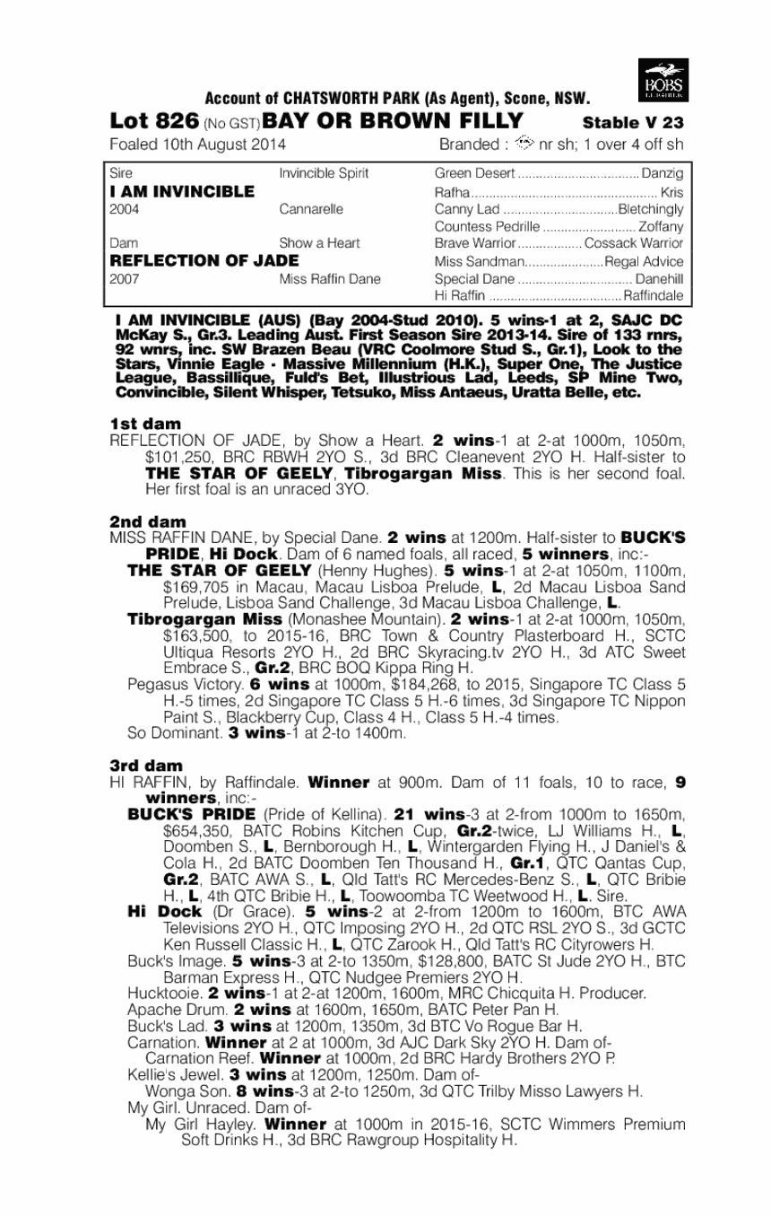 I Am Invincible (AUS) / Reflection Of Jade (AUS) - pedigree