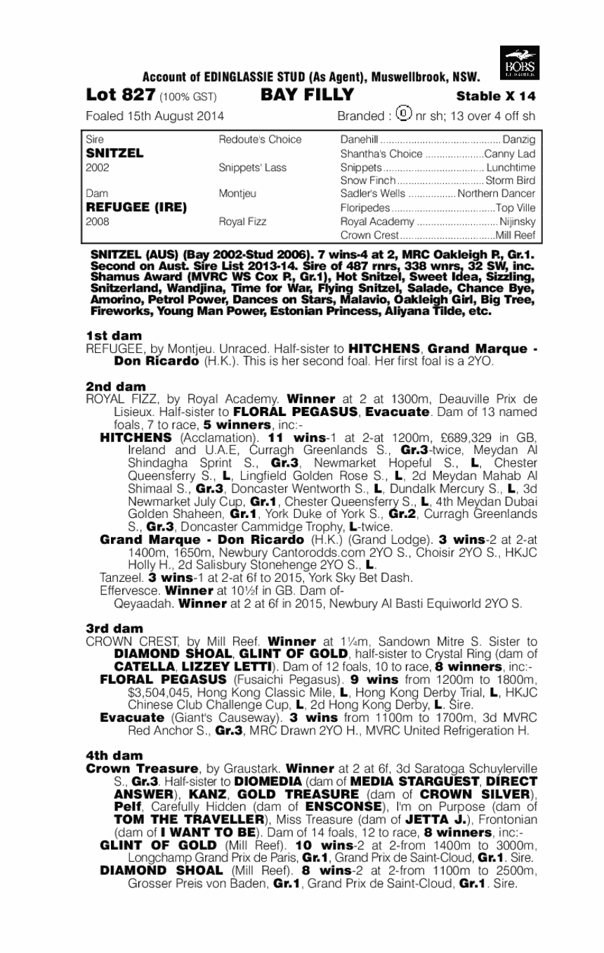 Snitzel (AUS) / Refugee (IRE) - pedigree