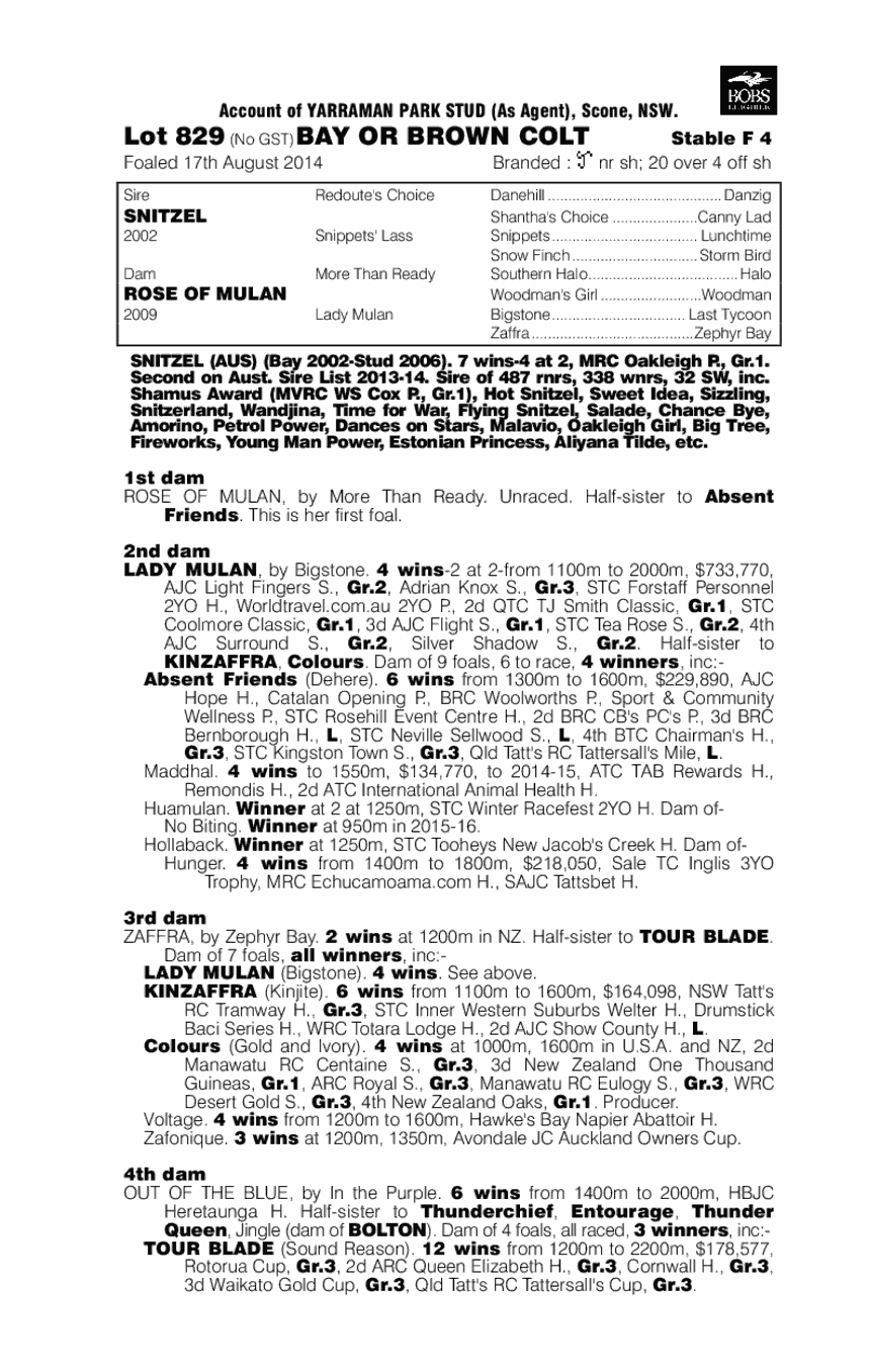 Snitzel (AUS) / Rose of Mulan (AUS) - pedigree
