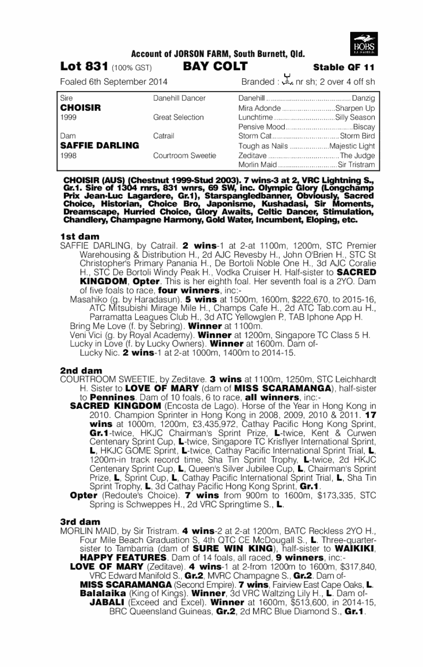Choisir (AUS) / Saffie Darling (AUS) - pedigree