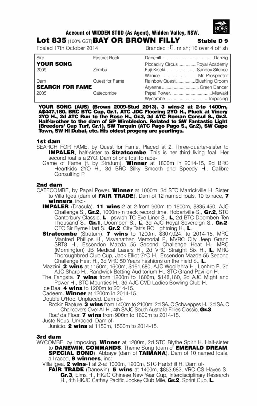 Your Song (AUS) / Search For Fame (AUS) - pedigree