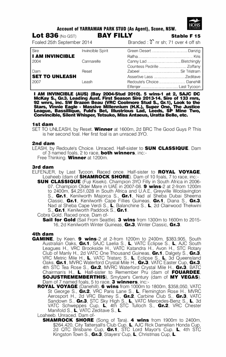 I Am Invincible (AUS) / Set to Unleash (AUS) - pedigree