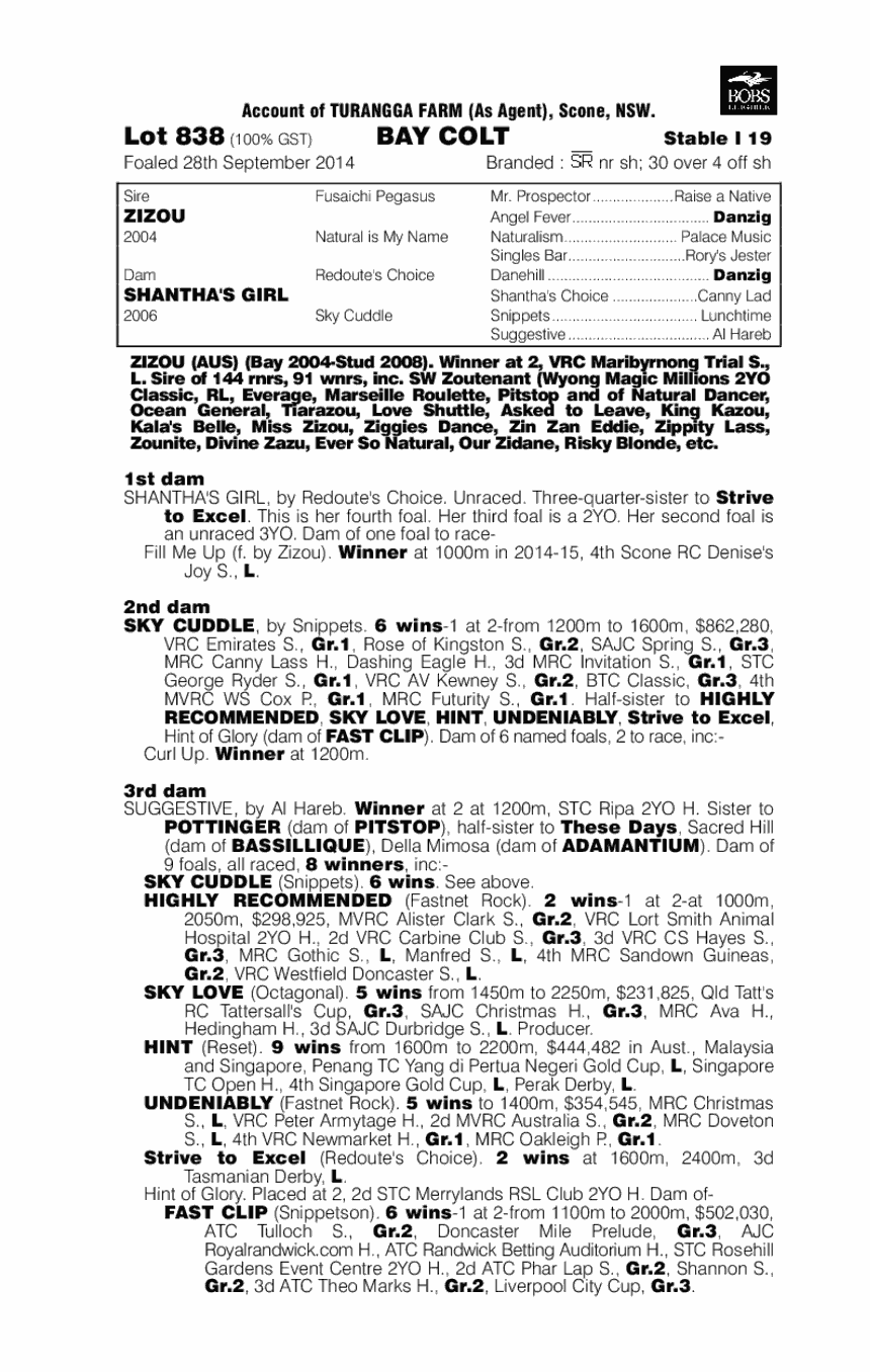 Zizou (AUS) / Shantha's Girl (AUS) - pedigree