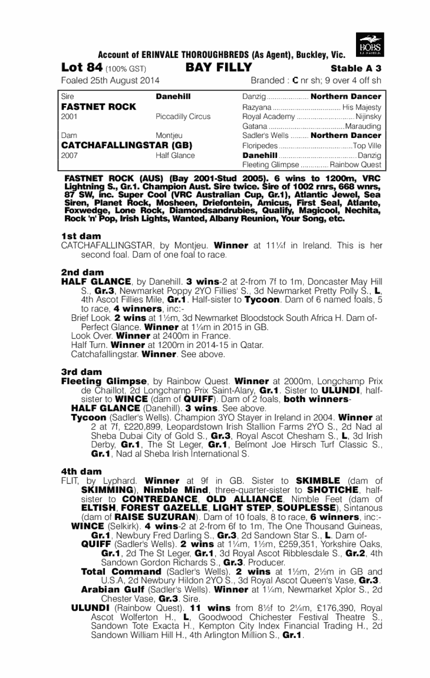 Fastnet Rock (AUS) / Catchafallingstar (GB) - pedigree