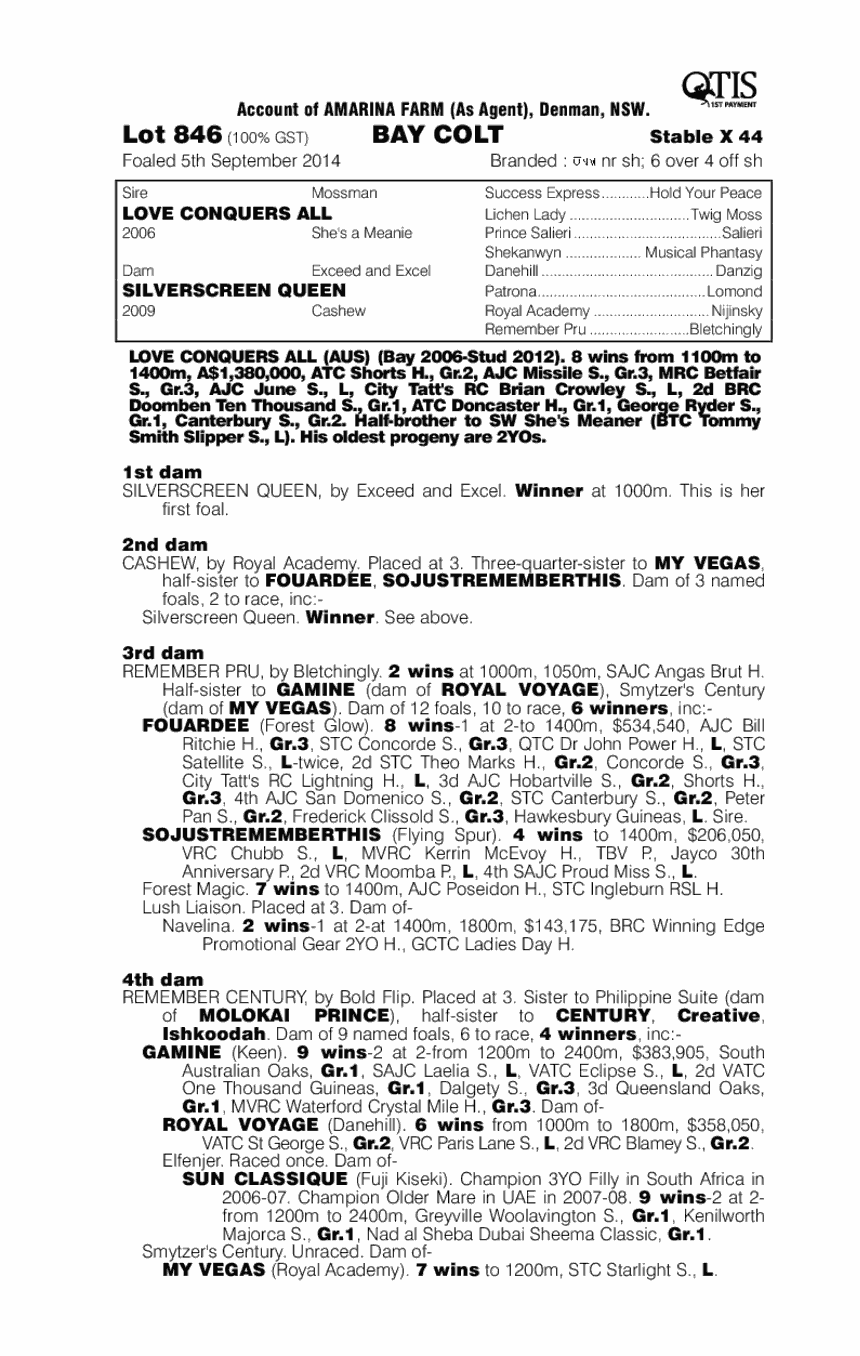 Love Conquers All (AUS) / Silverscreen Queen (AUS) - pedigree