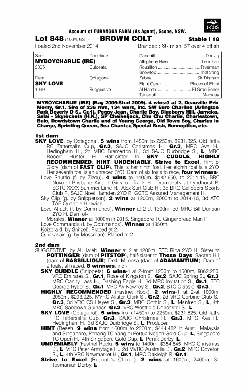 Myboycharlie (IRE) / Sky Love (AUS) - pedigree