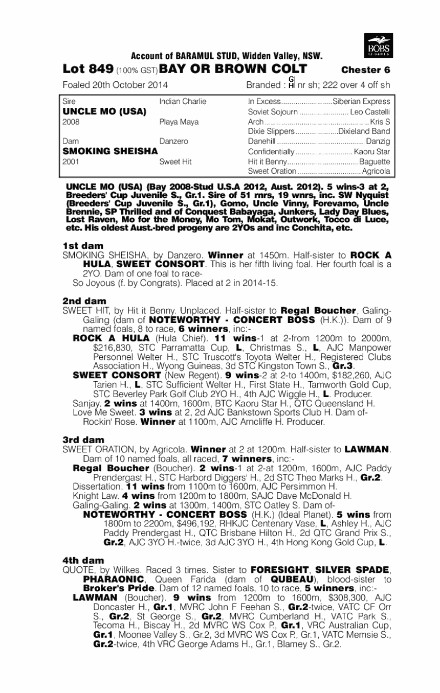 Uncle Mo (USA) / Smoking Sheisha (AUS) - pedigree