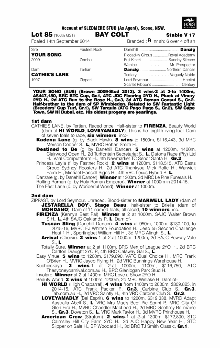 Your Song (AUS) / Cathie's Lane (AUS) - pedigree