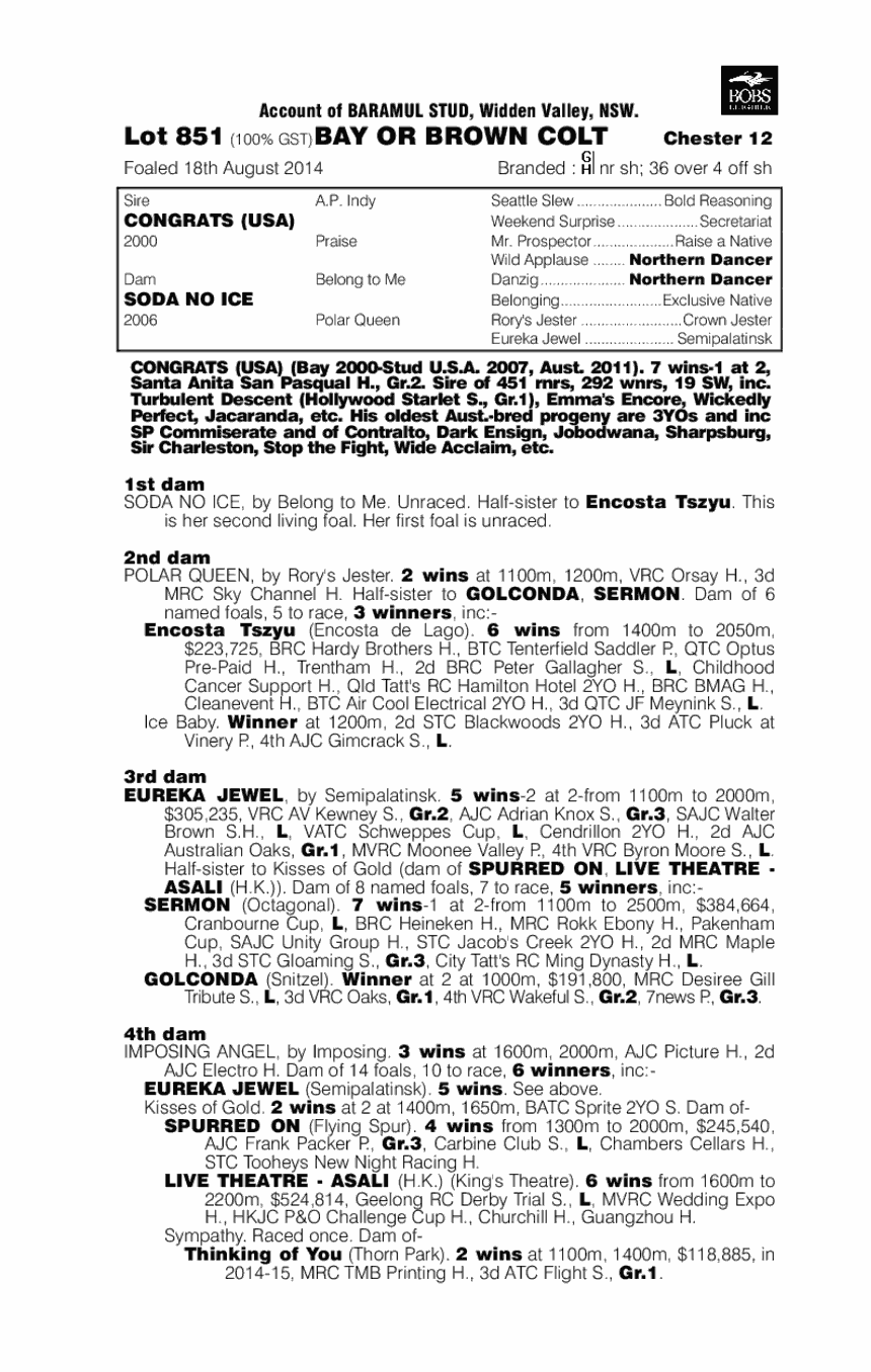 Congrats (USA) / Soda No Ice (AUS) - pedigree