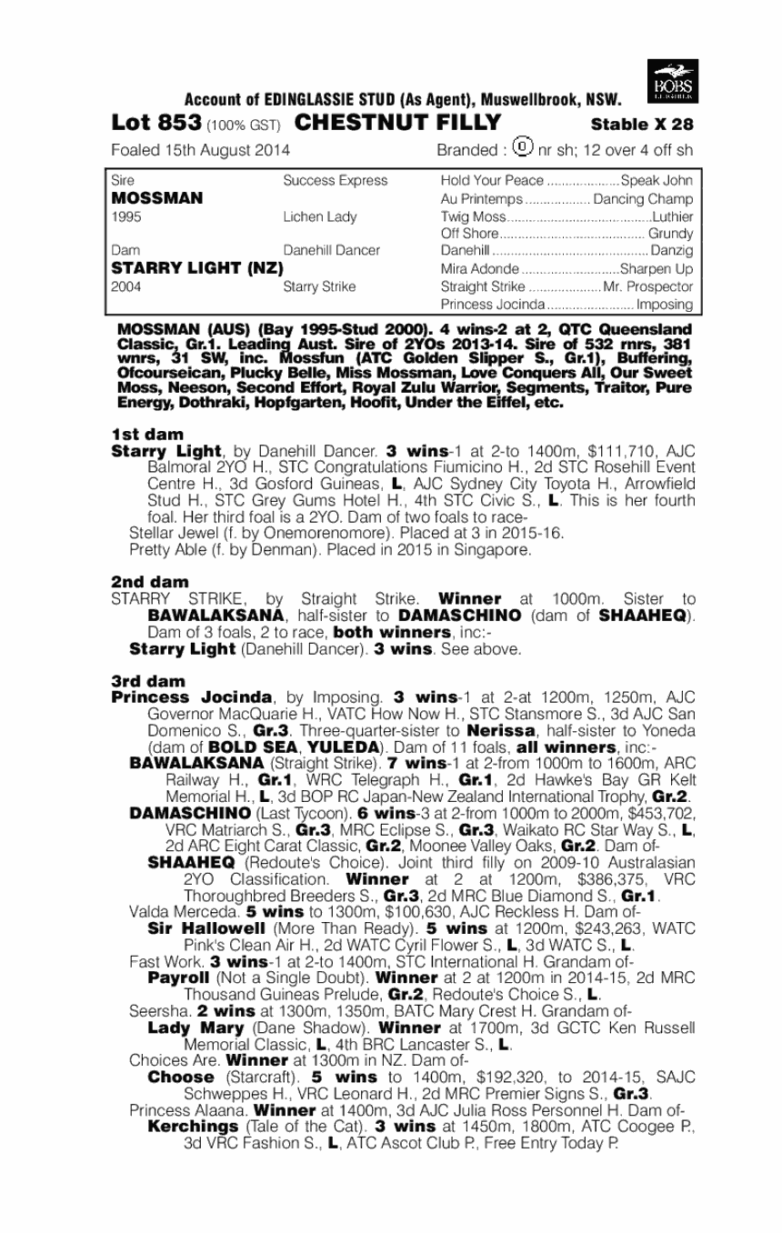 Mossman (AUS) / Starry Light (NZ) - pedigree
