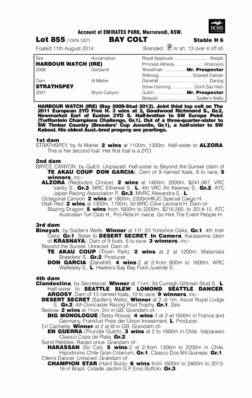 Falcon Island (AUS) - pedigree