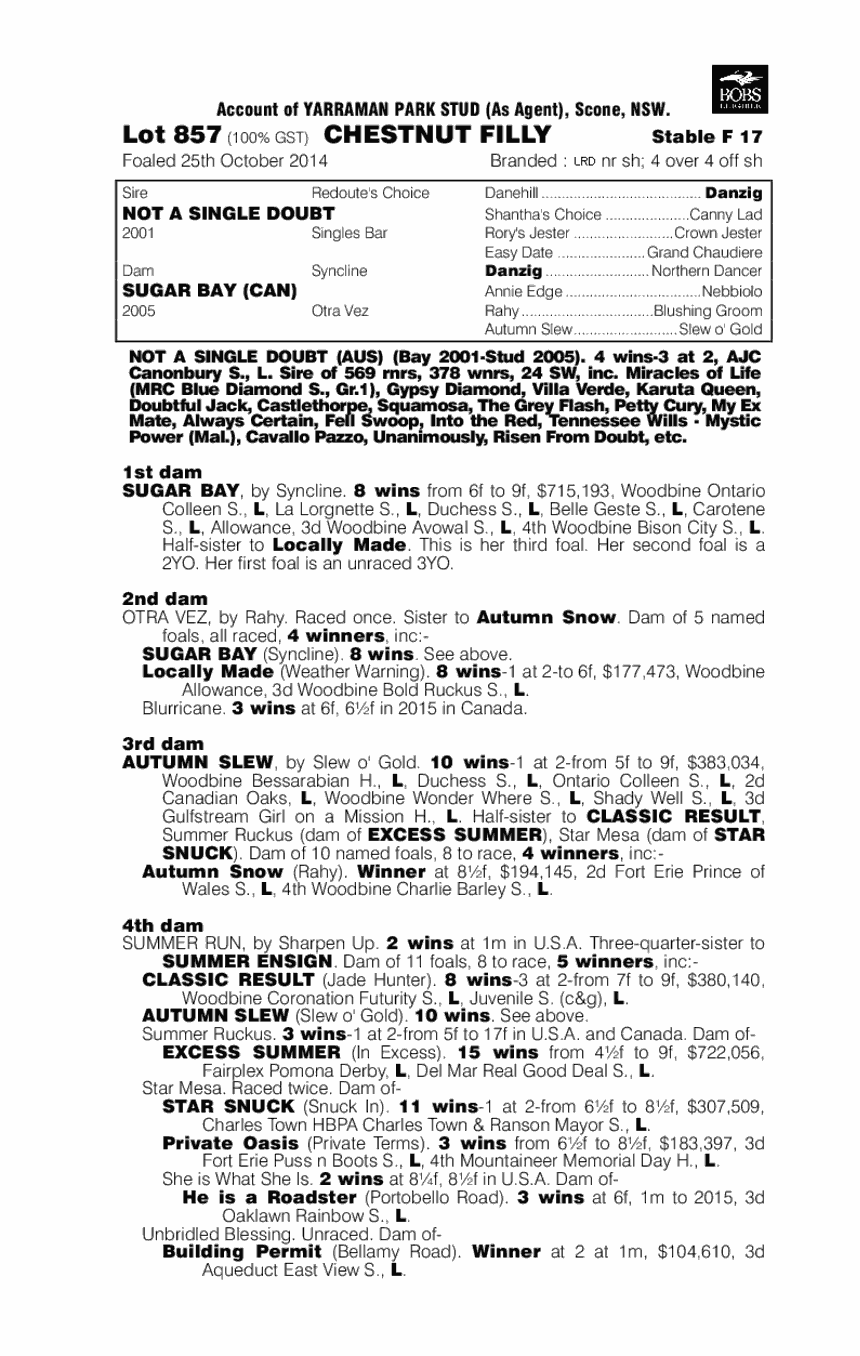 Sugarcone (AUS) - pedigree