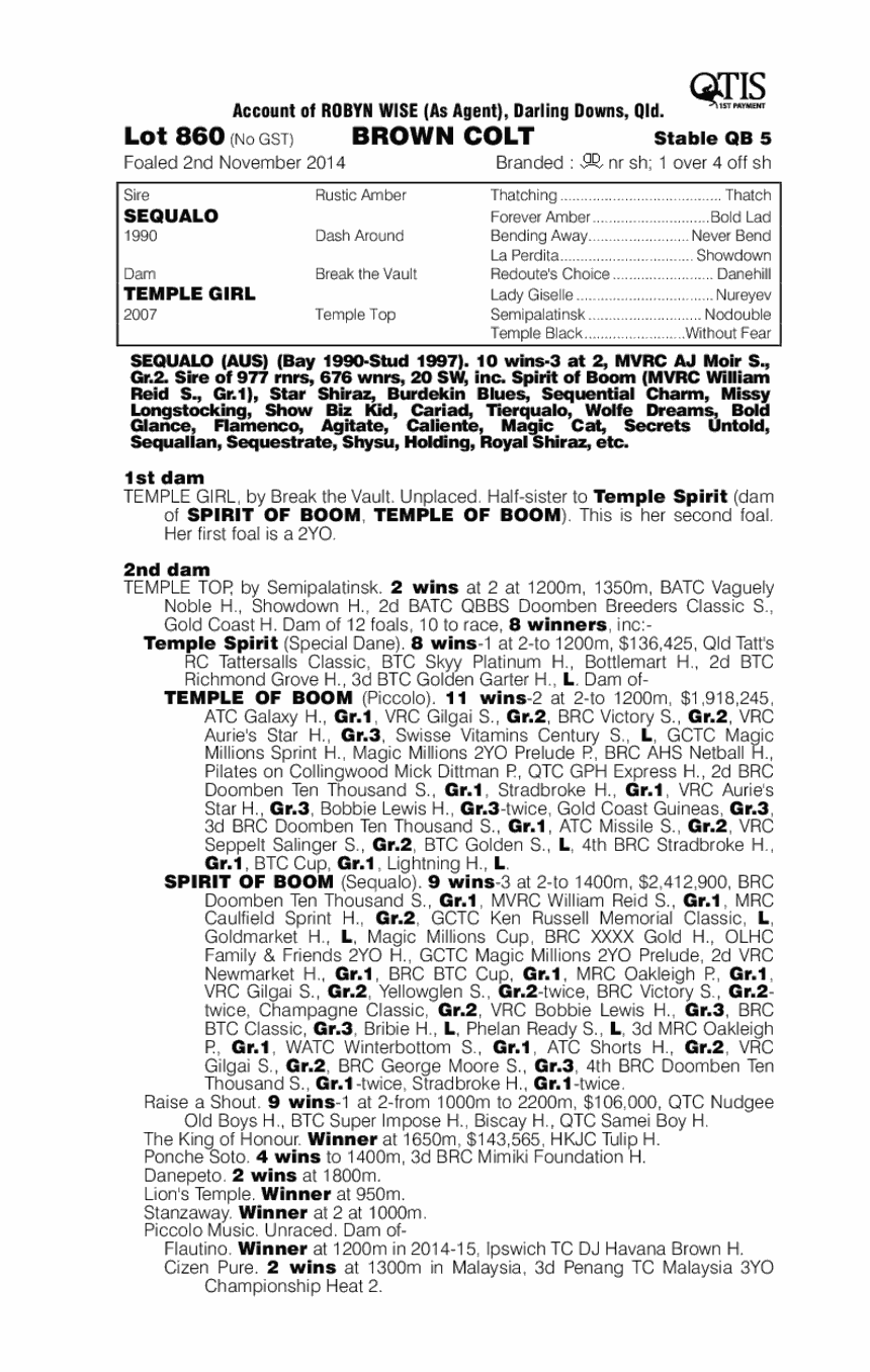 Sequalo (AUS) / Temple Girl (AUS) - pedigree