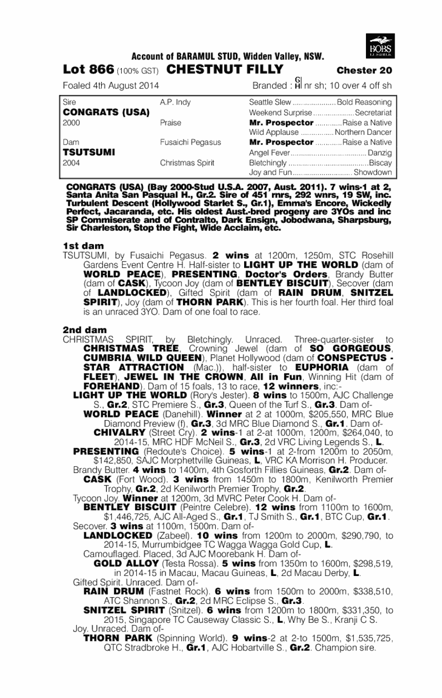 Congrats (USA) / Tsutsumi (AUS) - pedigree