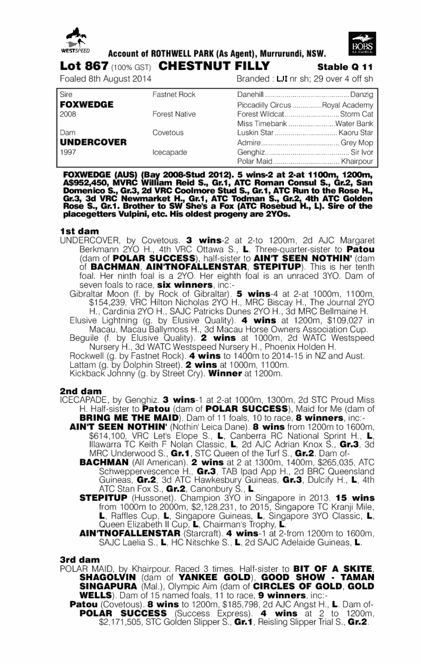 Wedgie (AUS) - pedigree