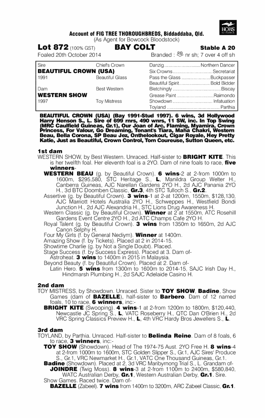 Beautiful Crown (USA) / Western Show (AUS) - pedigree