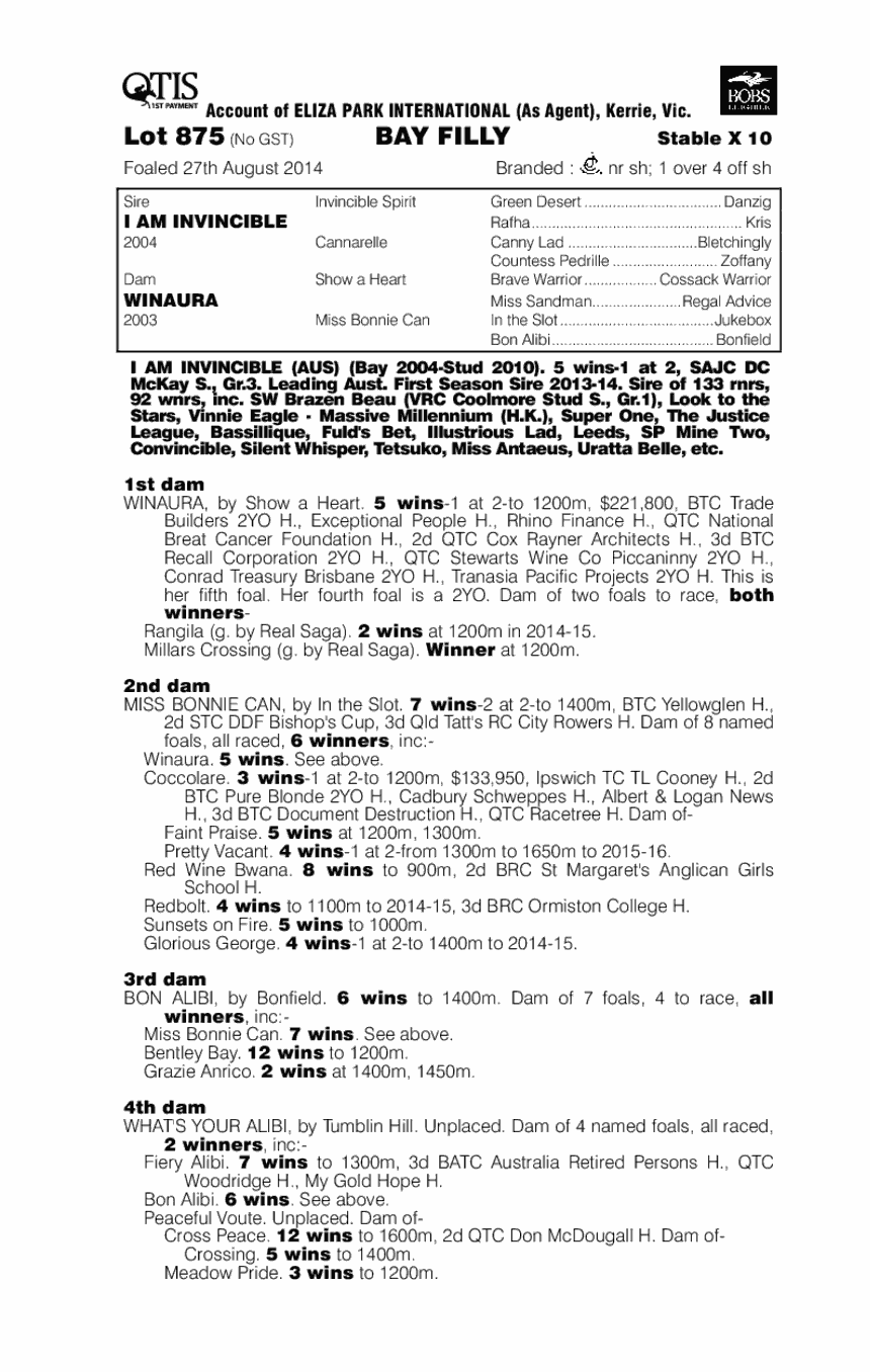 I Am Invincible (AUS) / Winaura (AUS) - pedigree