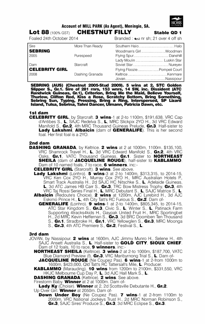 Sebring (AUS) / Celebrity Girl (AUS) - pedigree