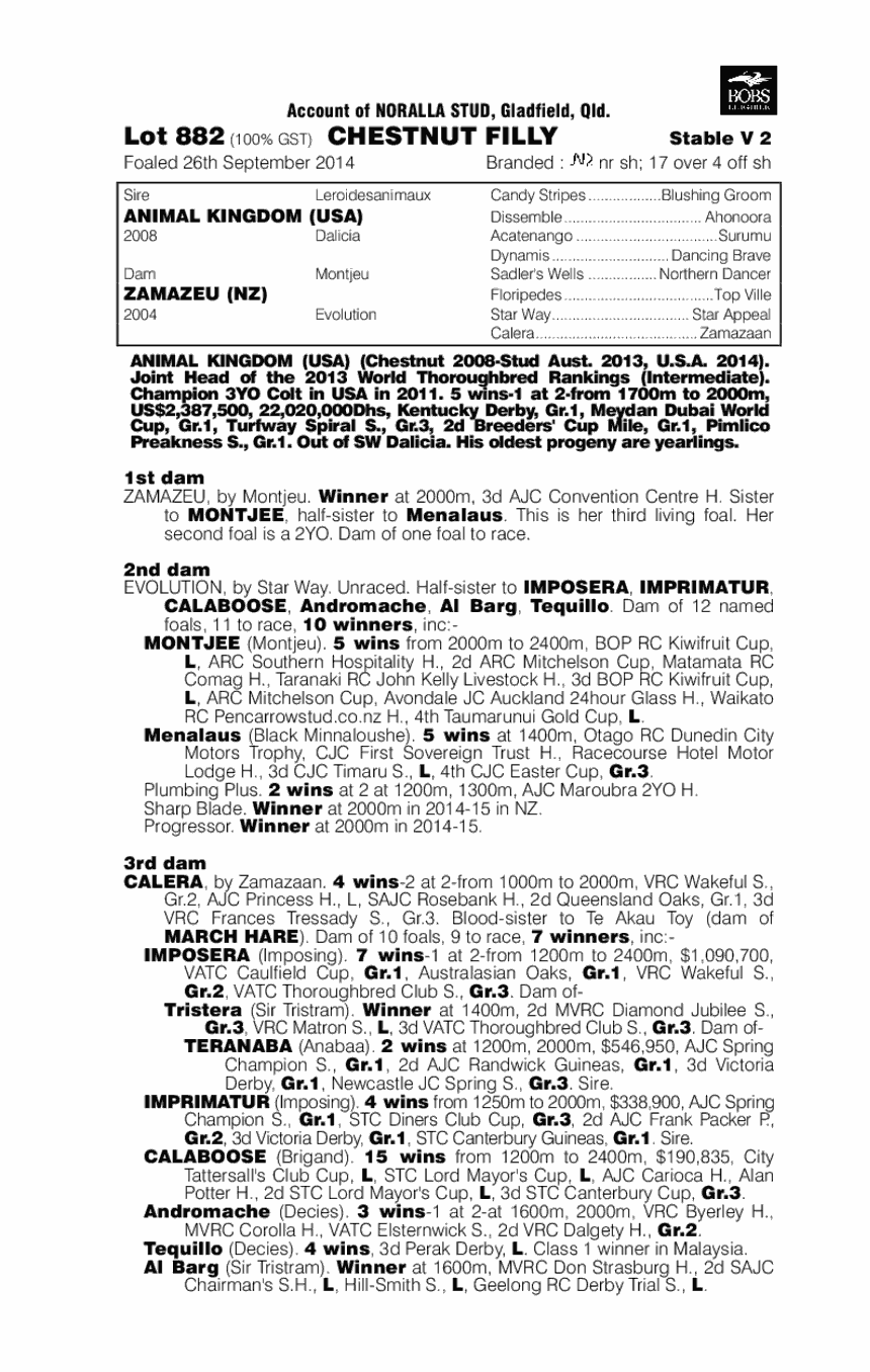 Animal Kingdom (USA) / Zamazeu (NZ) - pedigree