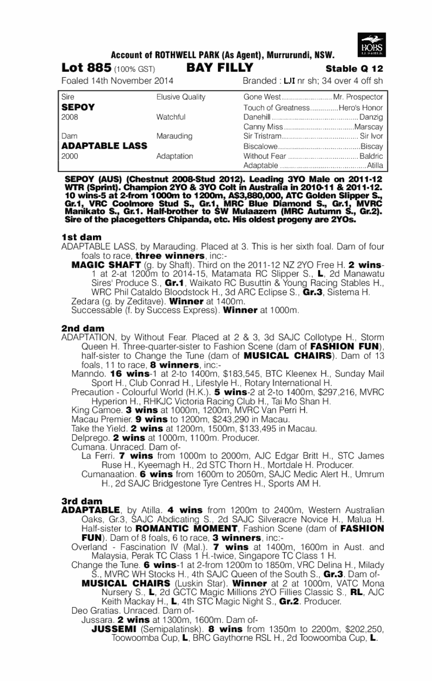 Sepoy (AUS) / Adaptable Lass (AUS) - pedigree