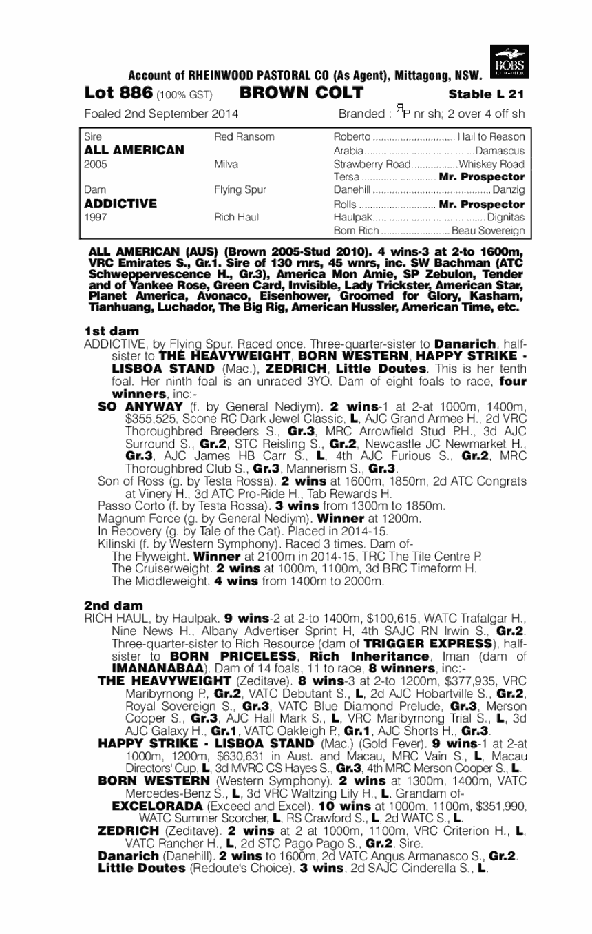 All American (AUS) / Addictive (AUS) - pedigree