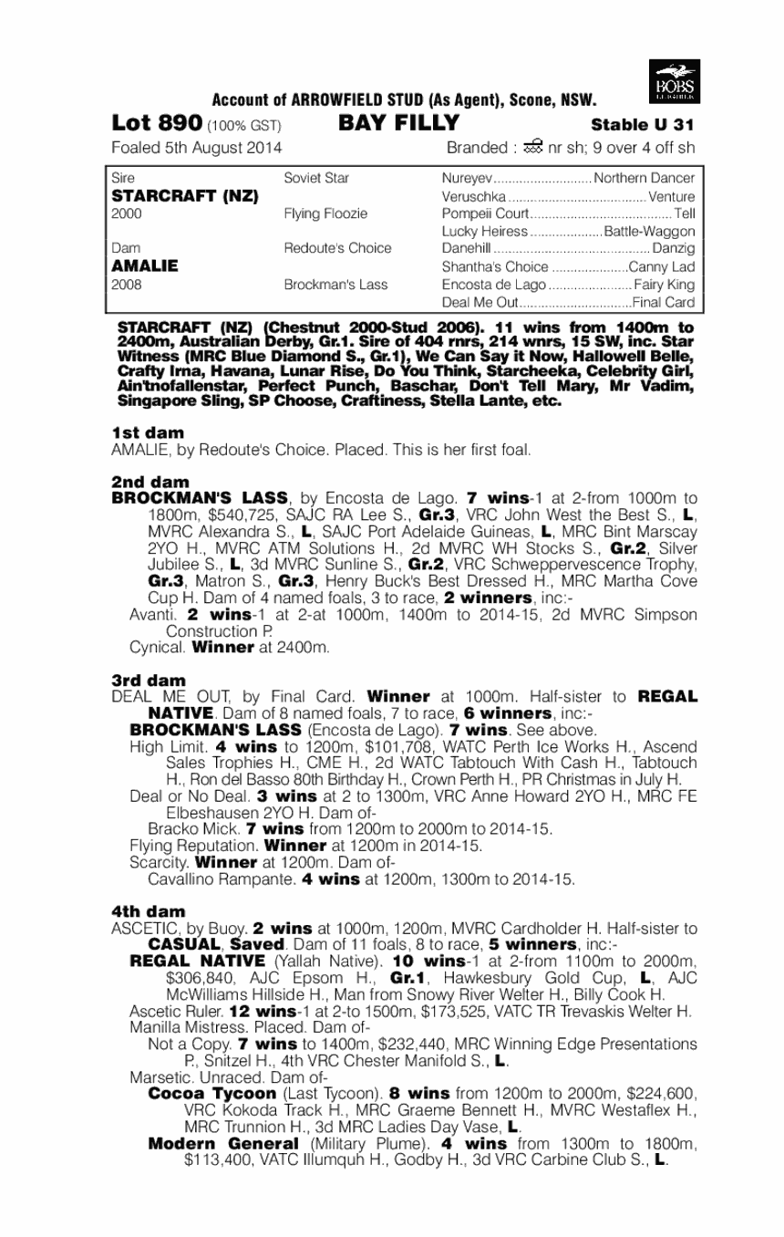 Starcraft (NZ) / Amalie (AUS) - pedigree
