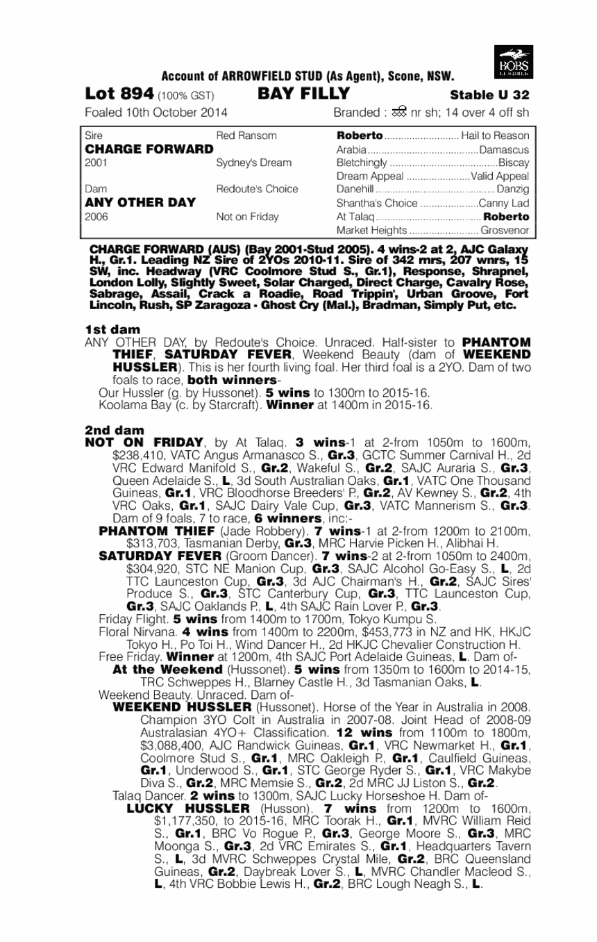 Everyday Lady (AUS) - pedigree