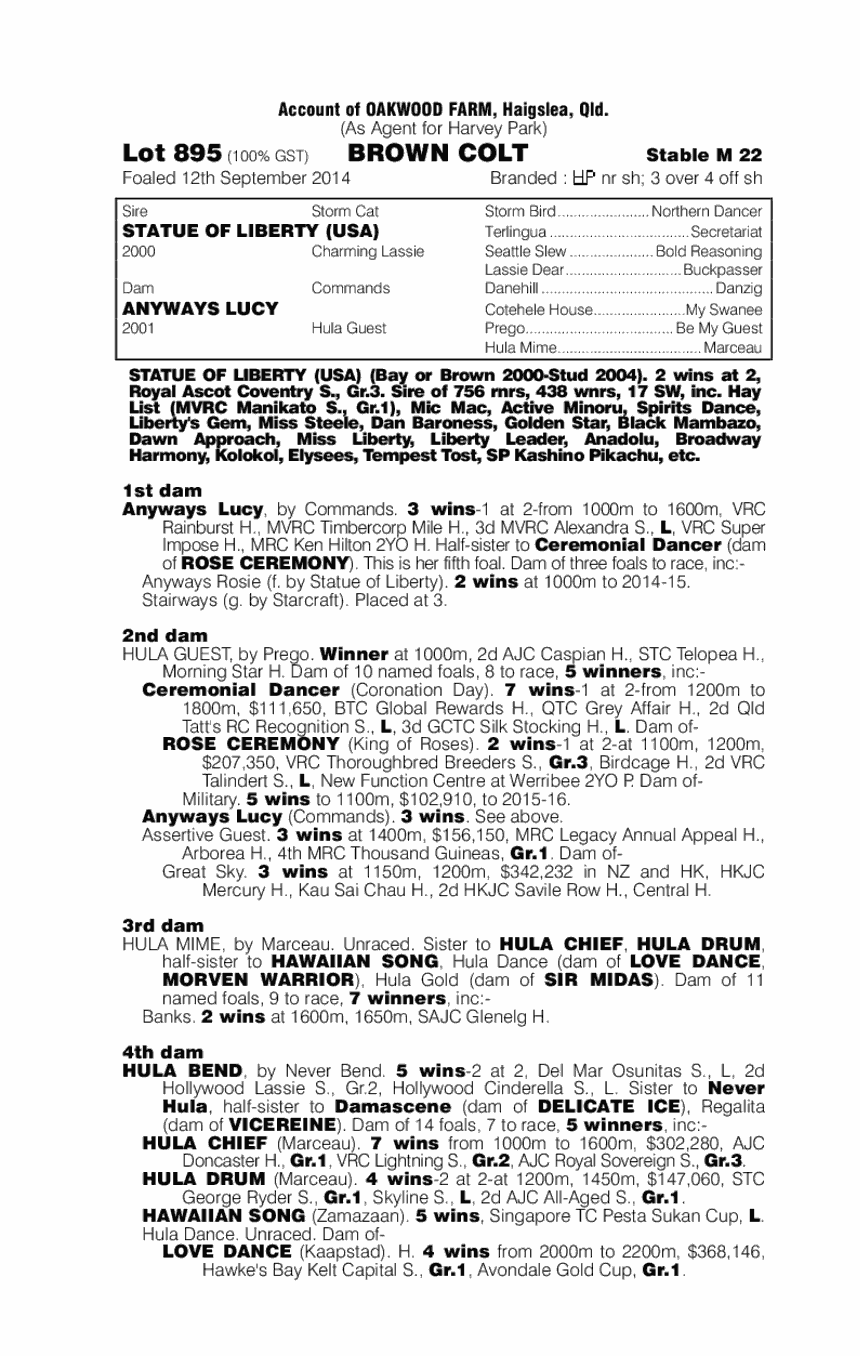 Statue Of Liberty (USA) / Anyways Lucy (AUS) - pedigree