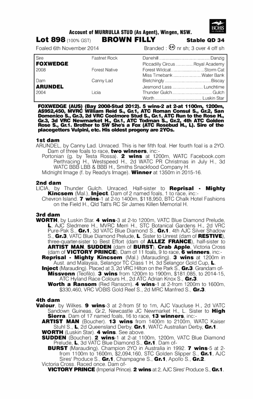 Foxwedge (AUS) / Arundel (AUS) - pedigree