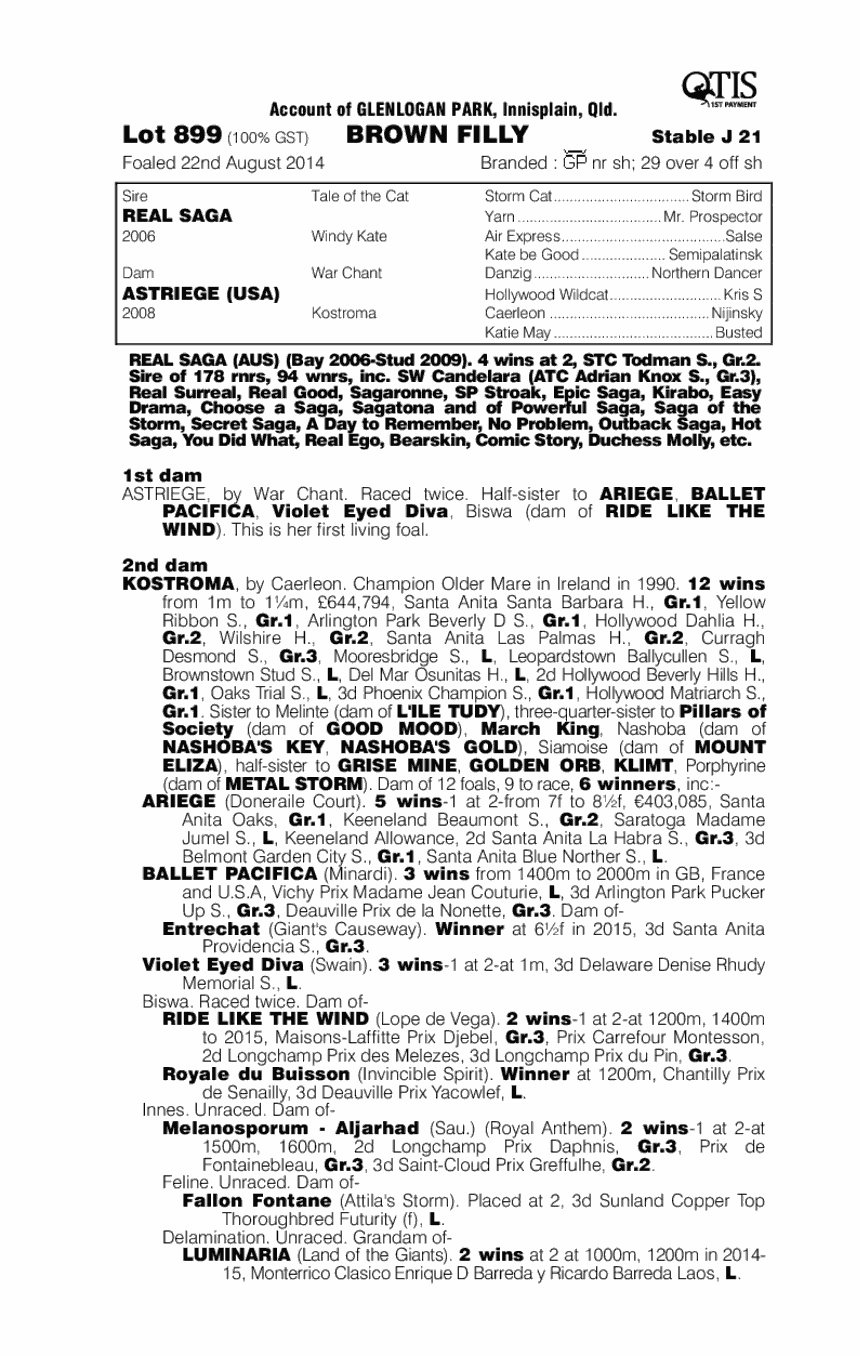 Real Coco (AUS) - pedigree