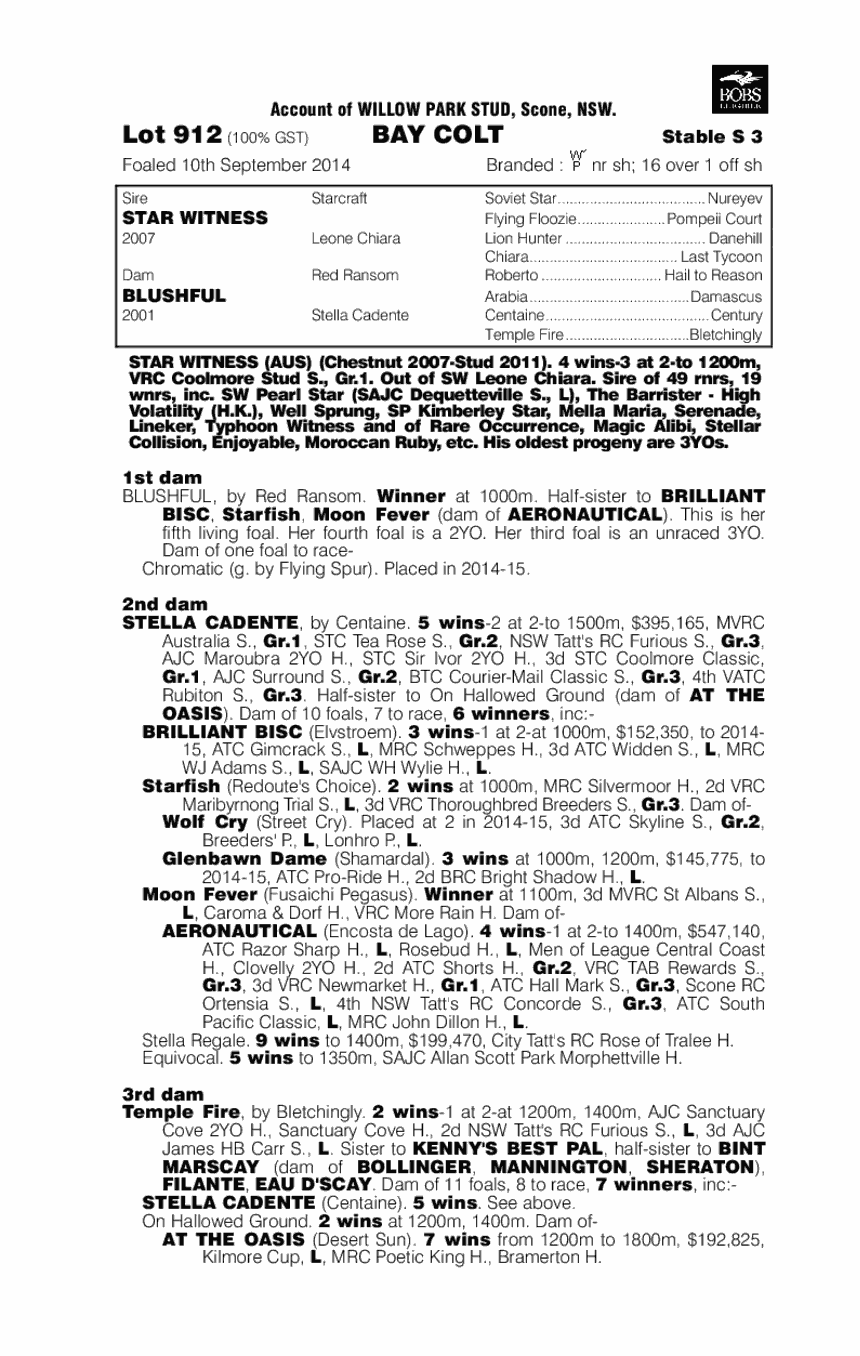 Star Witness (AUS) / Blushful (AUS) - pedigree