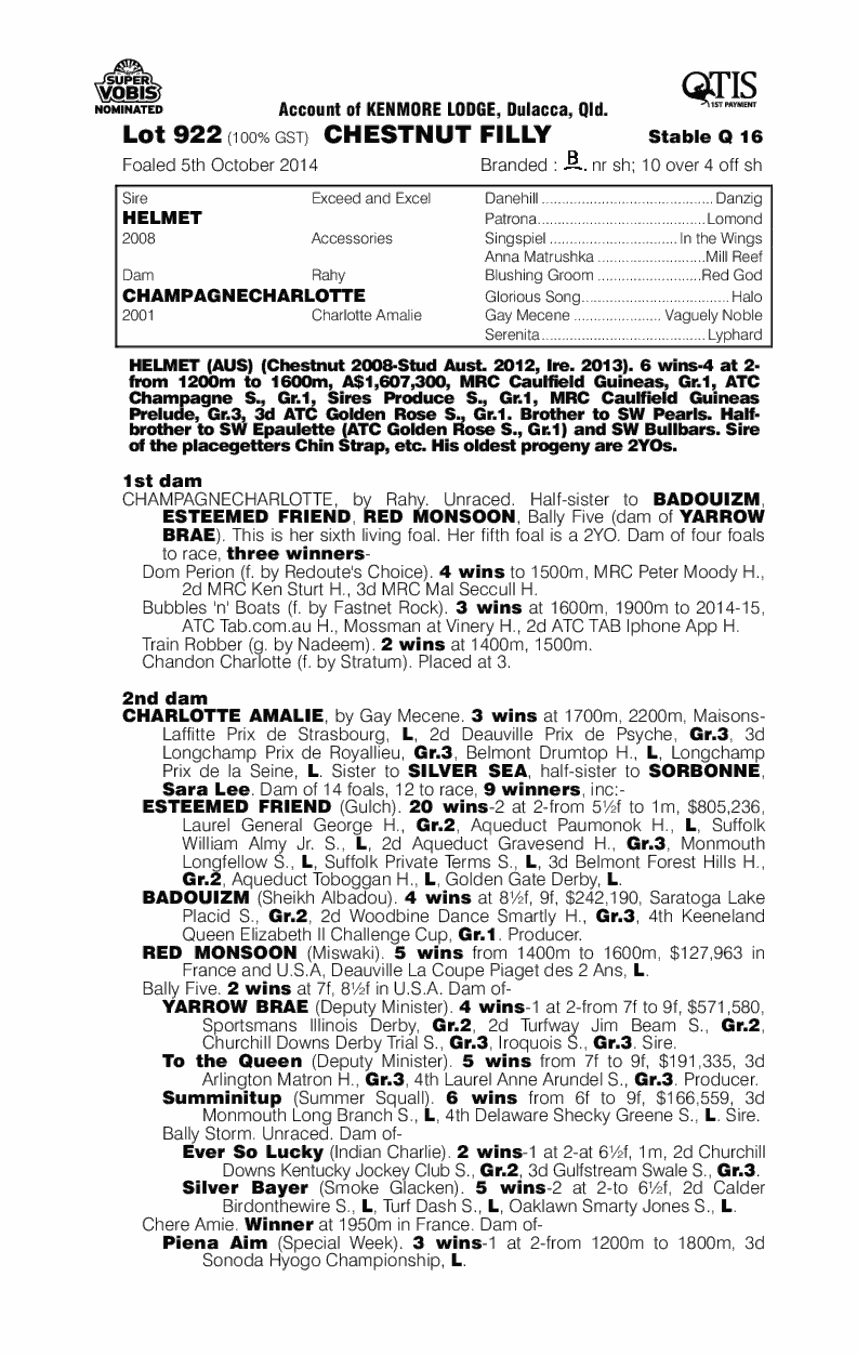 Helmet (AUS) / Champagnecharlotte (AUS) - pedigree
