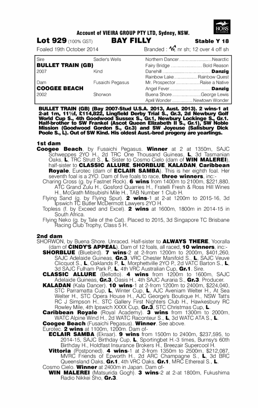 Bullet Train (GB) / Coogee Beach (AUS) - pedigree