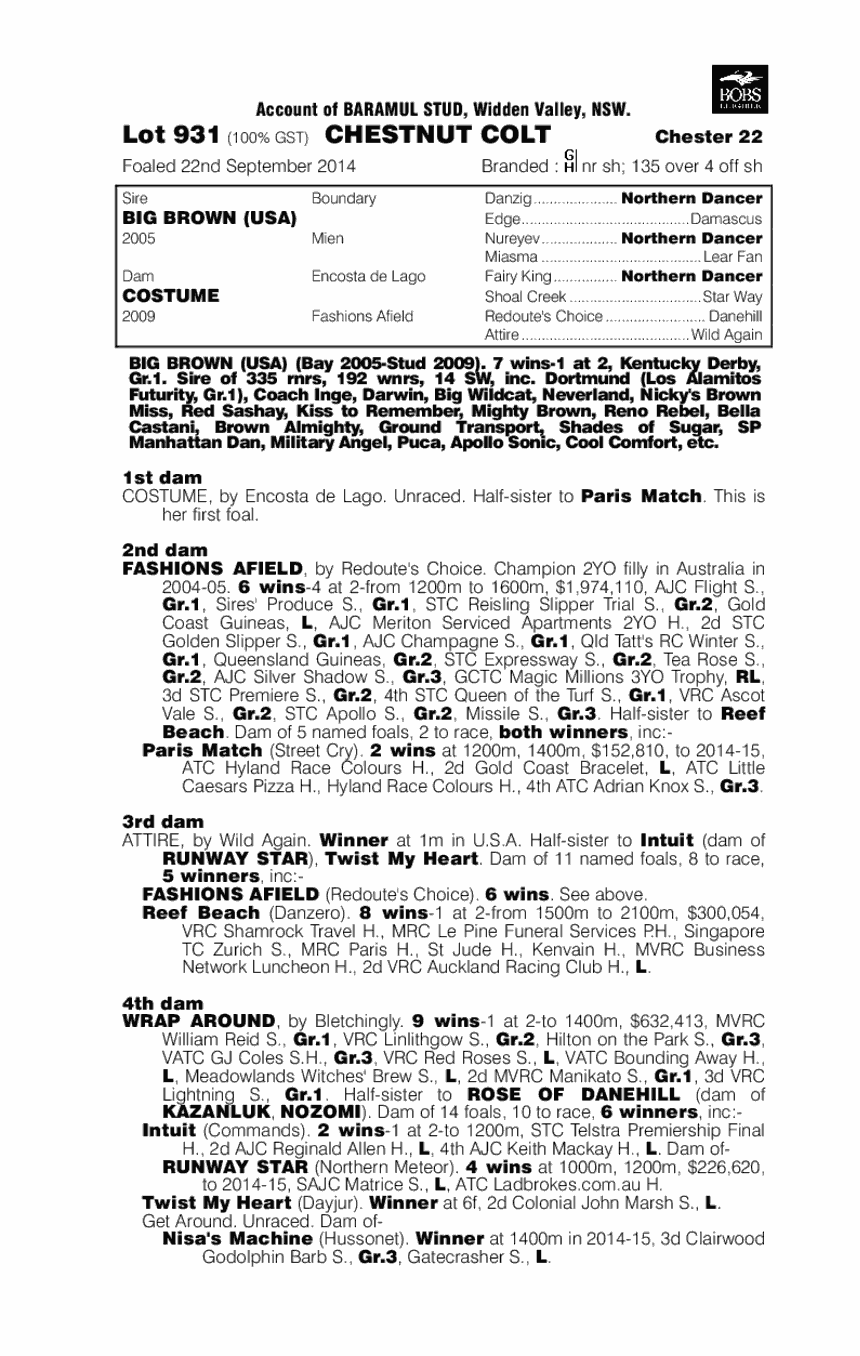 Big Brown (USA) / Costume (AUS) - pedigree