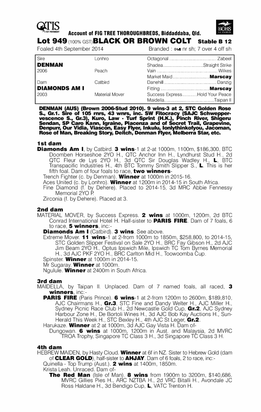 Denman (AUS) / Diamonds Am I (AUS) - pedigree