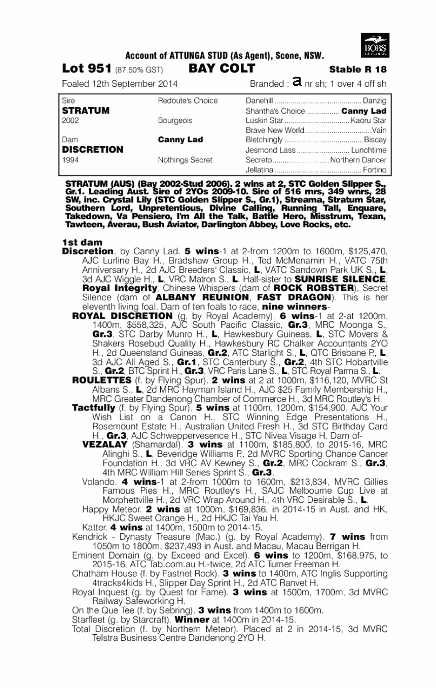 Stratum (AUS) / Discretion (AUS) - pedigree
