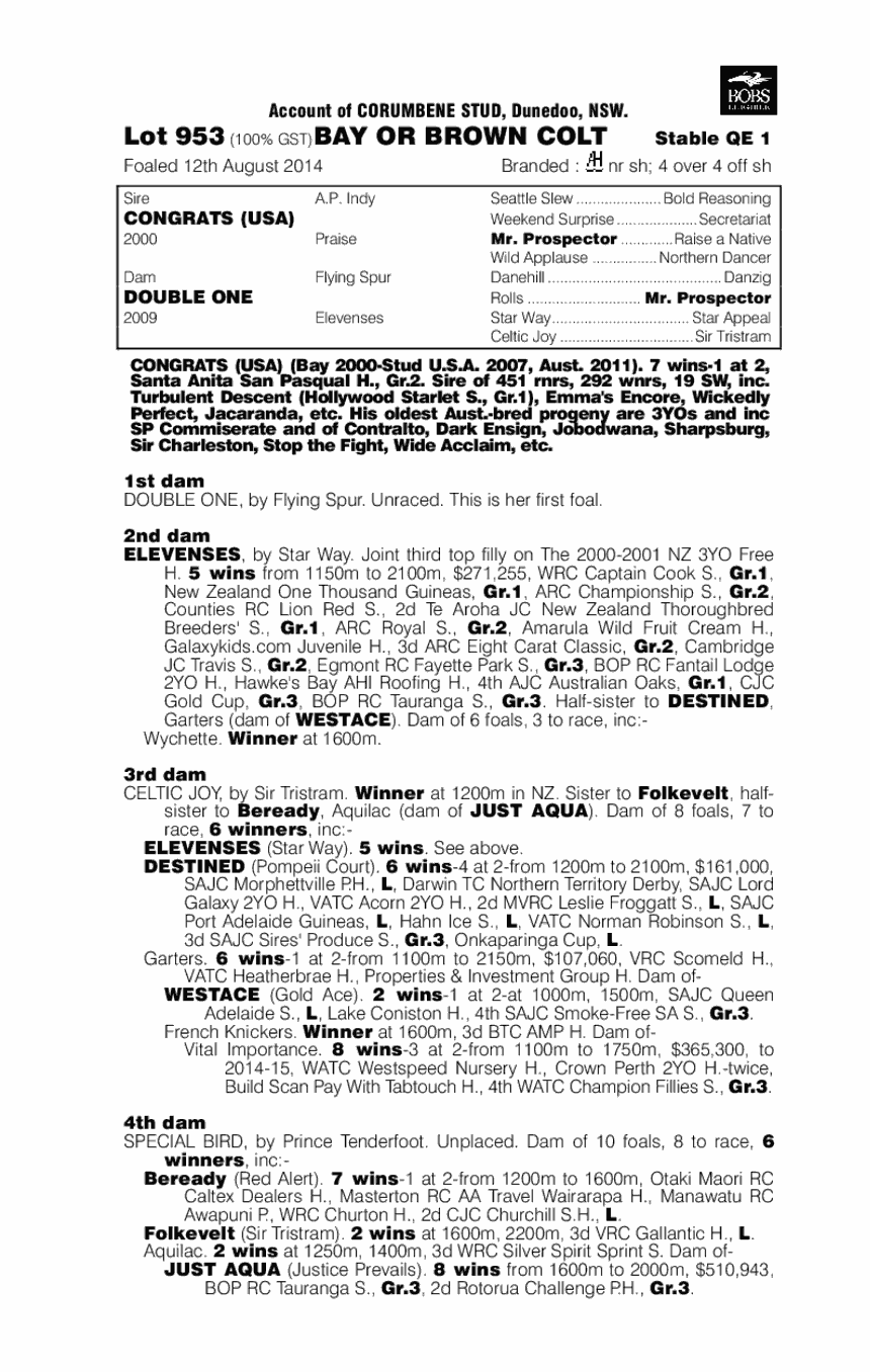 Congrats (USA) / Double One (AUS) - pedigree