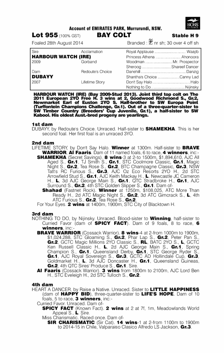 Harbour Watch (IRE) / Dubayy (AUS) - pedigree