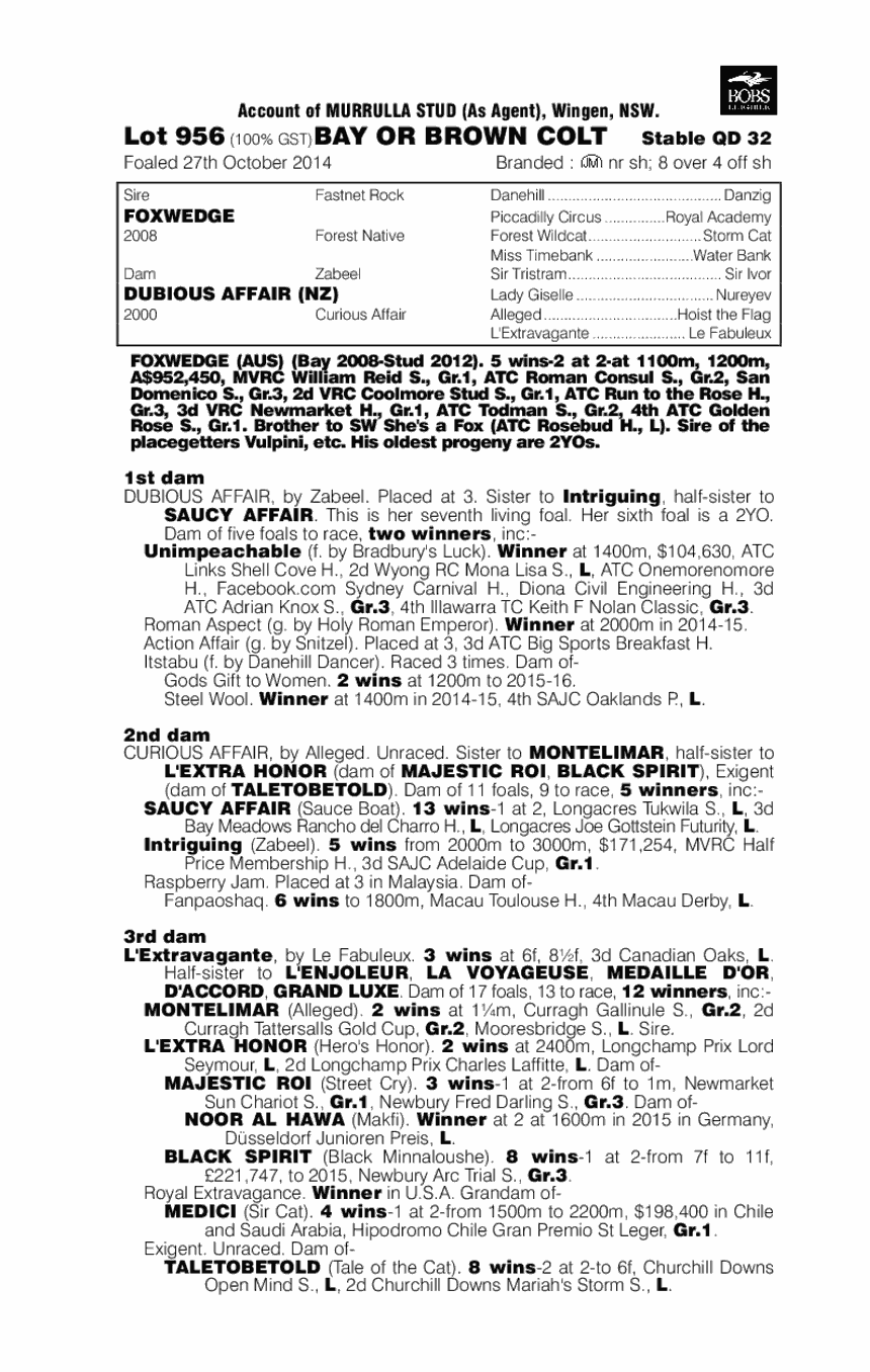 Foxwedge (AUS) / Dubious Affair (NZ) - pedigree