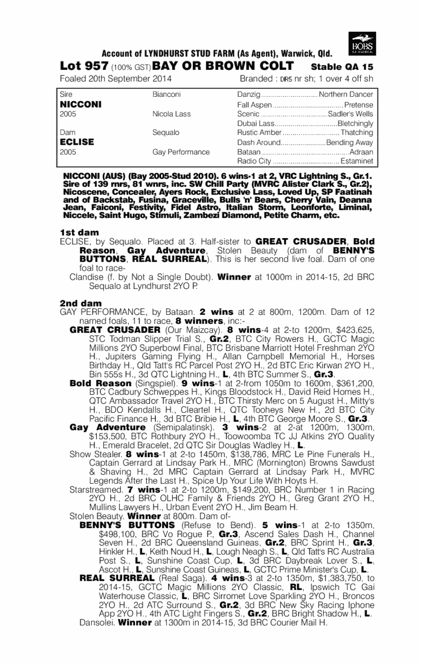 Nicconi (AUS) / Eclise (AUS) - pedigree