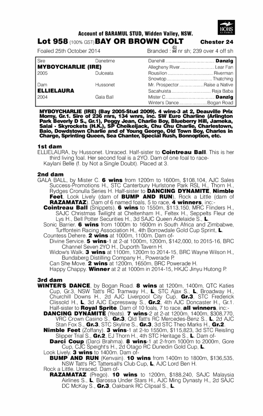 Myboycharlie (IRE) / Ellielaura (AUS) - pedigree