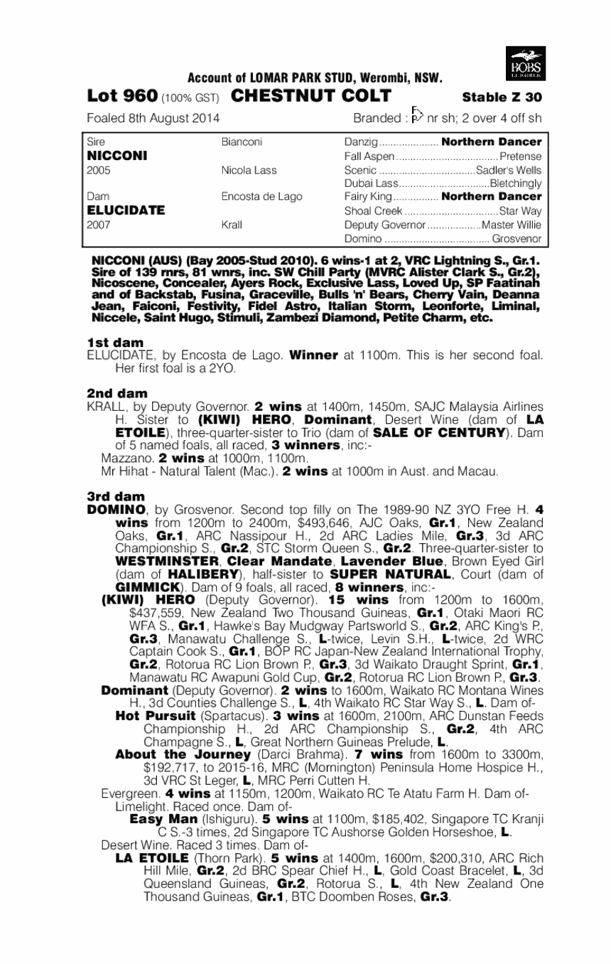 Nicconi (AUS) / Elucidate (AUS) - pedigree