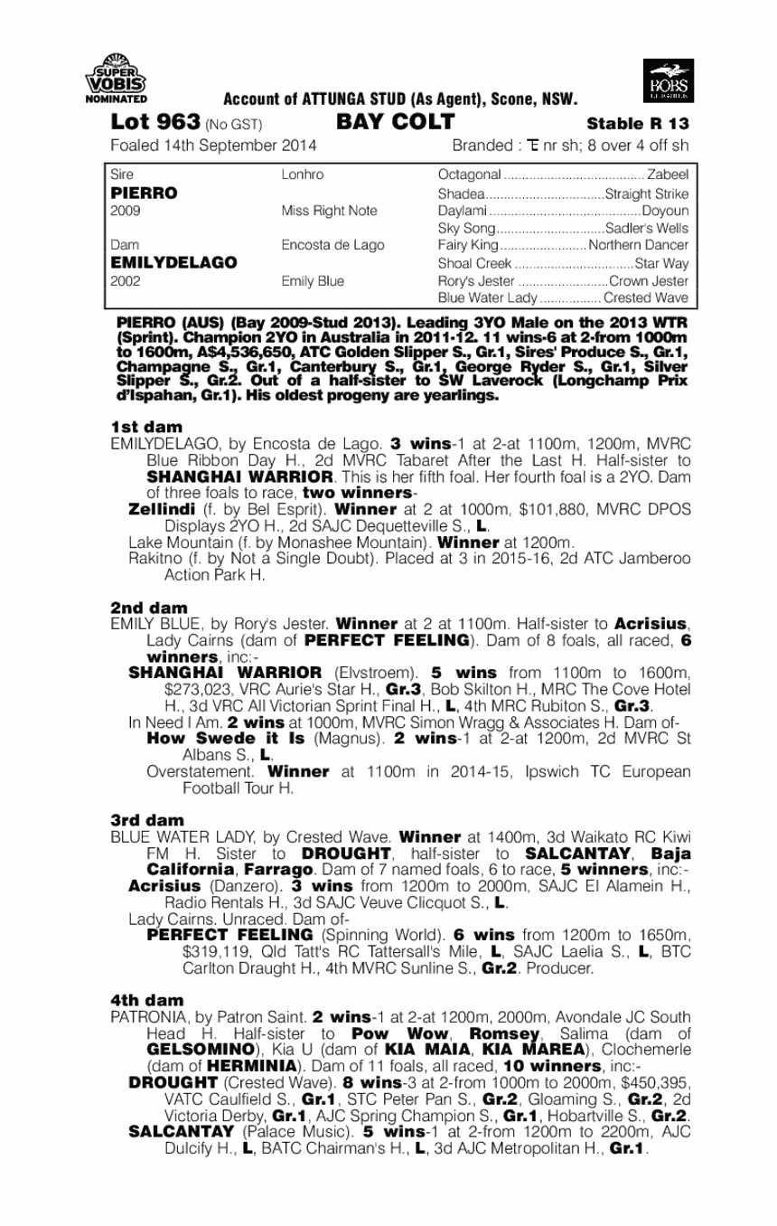Pierro (AUS) / Emilydelago (AUS) - pedigree